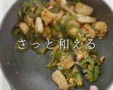 肉なし冷やしが旨い！ゴーヤチャンプルー作り方20写真