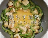 肉なし冷やしが旨い！ゴーヤチャンプルー作り方16写真