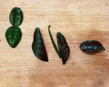 自家製グリーンカレーペースト作り方1写真