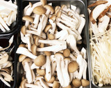 白滝と茸のたらこクリーム煮★村上春樹風作り方4写真