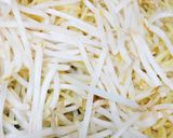 屋台焼きそばをお家で作ってみよ作り方4写真