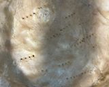 フレンチ　シルクパイ作り方3写真