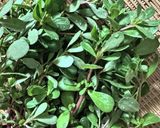 スベリヒユいり夏野菜炒め作り方1写真