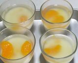 プルプル食感 みかん ヨーグルトゼリー作り方15写真