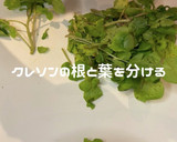 せせりとクレソンの柚子胡椒和え作り方1写真