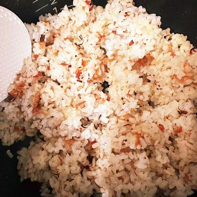 おかかごはんです。 How to make Okaka furikake and Okaka onigiri recipe.おかか