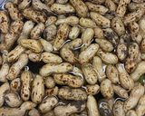 旬だ落花生を茹でて食べよう作り方2写真