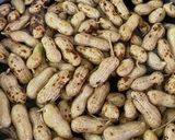 旬だ落花生を茹でて食べよう作り方3写真