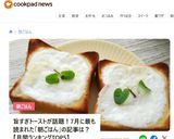 【簡単】お一人様はちみつヨーグルトースト作り方17写真