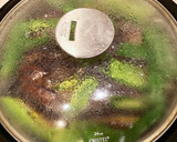 夏の作り置き　ナスとピーマンのお浸し作り方8写真