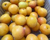 梅醤油作り方1写真