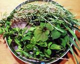 ハーブエキス＊植物の薬にも作り方1写真