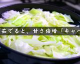 【糖質オフ】塩茹でキャベツのしらすまみれ作り方14写真