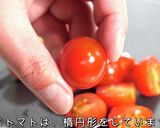 晩酌への期待高まる「ミニトマトのマリネ」作り方5写真