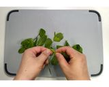 鶏ひき肉サラダ！ラープ・ガイ★動画あり★作り方3写真