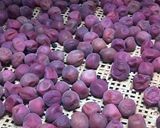梅干し作り方15写真