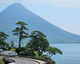 ♢♧ズッキーニ保存法♧♢作り方14写真