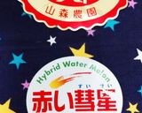 魅惑的な★赤い彗星★作り方4写真