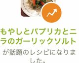 もやしとパプリカとニラのガーリックソルト作り方6写真