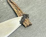 本格バニラアイスクリーム作り方1写真
