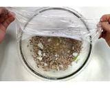 肉味噌ピーマン＆胡瓜★動画あり★作り方13写真