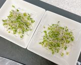 レモンだしホタテ♪クリチいくらのせ作り方4写真