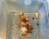 手羽元のトマト煮🐔🍅作り方6写真