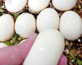 麻薬たまご作り方5写真