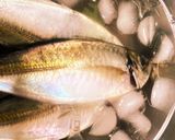 大阪港中央突堤で釣ったアジ開きの一夜干し作り方2写真