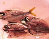 大阪港中央突堤で釣ったアジ開きの一夜干し作り方4写真