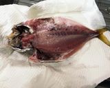 大阪港中央突堤で釣ったアジ開きの一夜干し作り方9写真