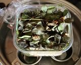 【レッドクローバーで手づくり納豆】JWT作り方11写真