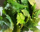 青紫蘇ジュース作り方1写真