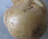 春のポテトサラダ（木の芽＆たけのこ）作り方2写真