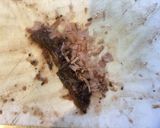 鯵のタレ 梅作り方4写真