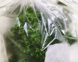 萎れかけ見切り品OK！長持ちハーブの保存作り方6写真