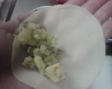 じゃがいもの変わり揚げ餃子作り方4写真
