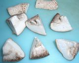 椎茸の梅煮作り方1写真