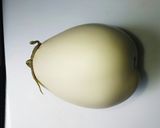 白ナスのソテー〜クリームを添えて〜作り方1写真