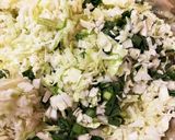 野菜たっぷり　ぎょうざ作り方1写真