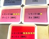 化学変化を楽しむpH実験ゼリー/自由研究作り方9写真