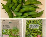 祝！200　枝豆と鶏肉の炒煮（毛頭焼鶏）作り方2写真
