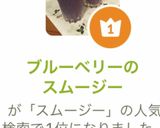 ブルーベリーのスムージー作り方7写真
