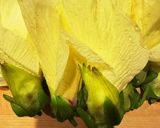 花おくらのおひたし作り方1写真