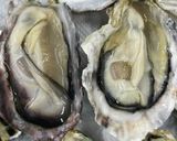 牡蠣の生ハム巻作り方2写真