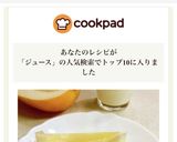 ★マクワウリを甘くする切り方とジュース作り方13写真