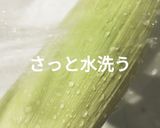 とうもろこしの茹で方　（電子レンジ）作り方2写真