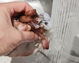 たこ焼き&しらす焼き作り方2写真
