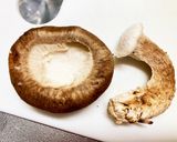 まるまるしいたけ棒餃子作り方1写真
