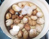 栗渋皮煮作り方13写真